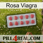 Pink Viagra 18